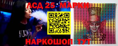 дурь Сланцы