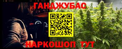 гидропоника Славгород