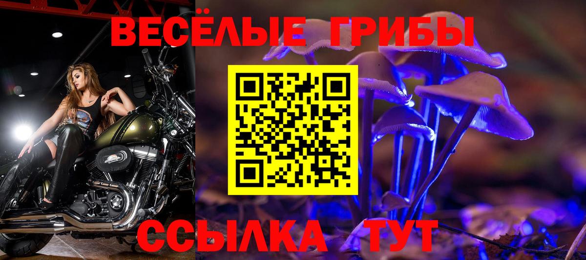 магазин продажи   Галлюциногенные грибы Psilocybine cubensis  Вход с VPN  Октябрьский 